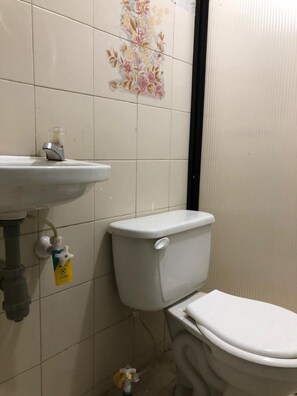 Asciugamani, sapone, carta igienica