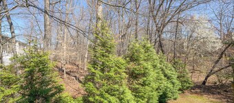 Cozy Studio with Nature Access