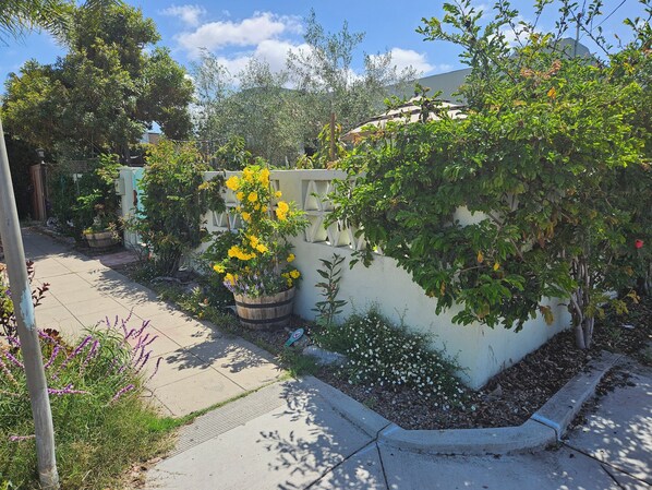 Property grounds - New Construction with Beautiful View of Kensington (San Diego)