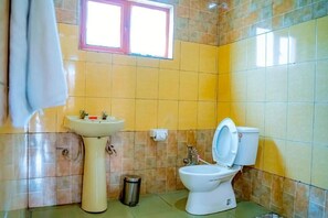 Shower, towels, toilet paper