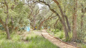 A pathway through a wooded area with trees and a sign in the distance. - 6 Mi to Wimberley Square: 'Happy Days Cruiser' (Wimberley)
