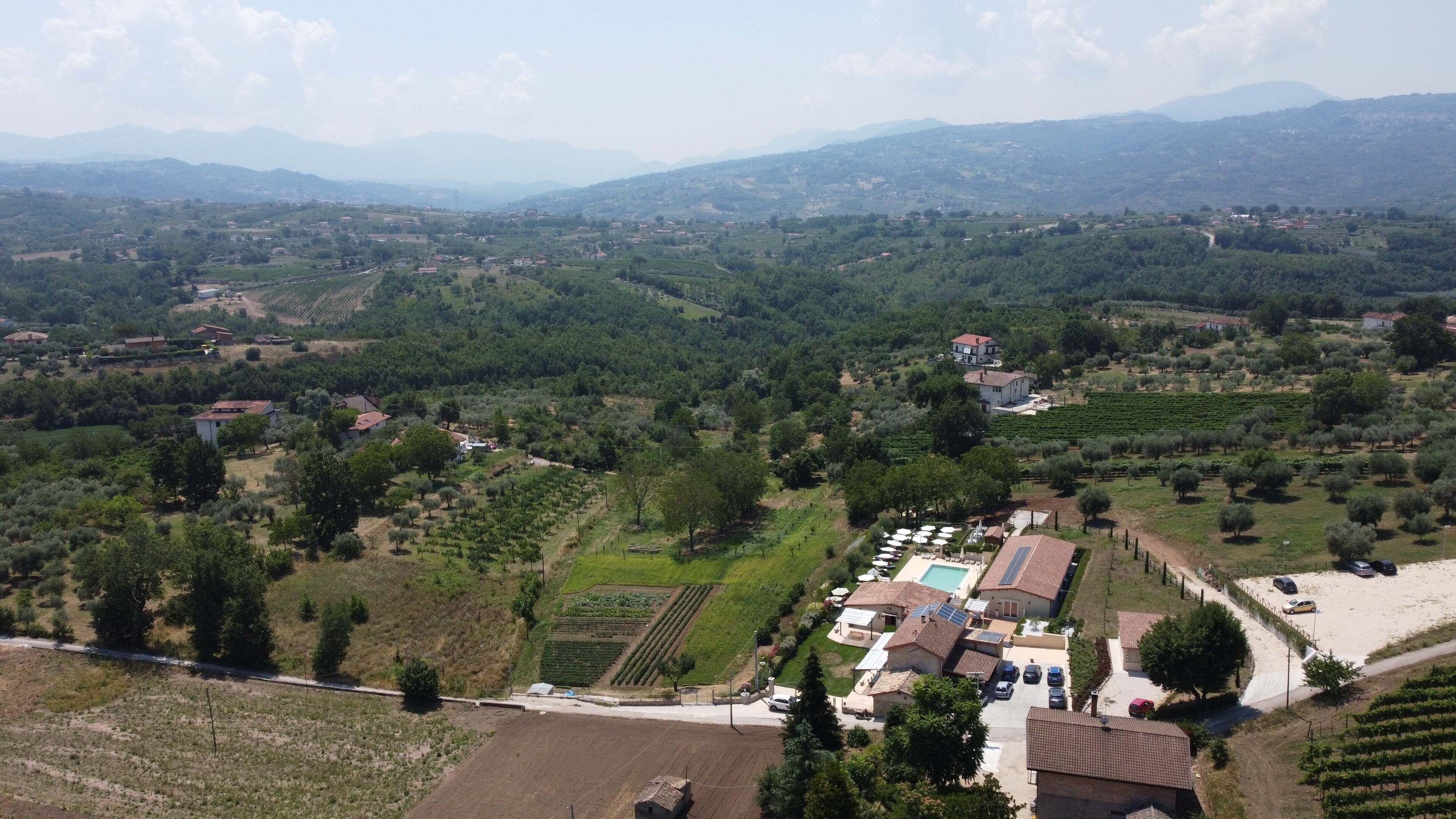An aerial view of a rural area with vineyards, houses, and a swimming pool.