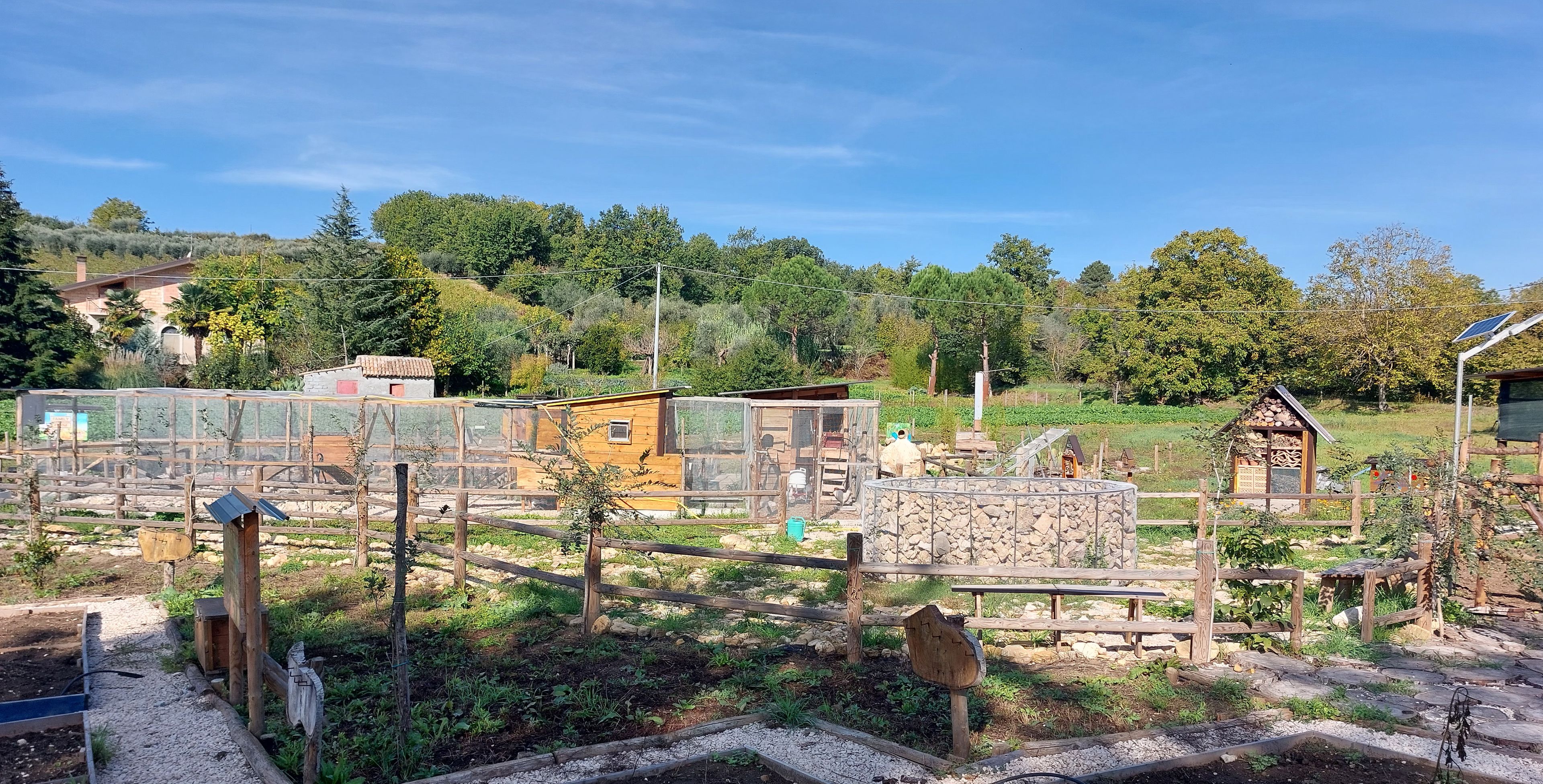 Un'azienda agricola rurale con diversi edifici, tra cui un pollaio, una stalla per i maiali e una piccola casa.