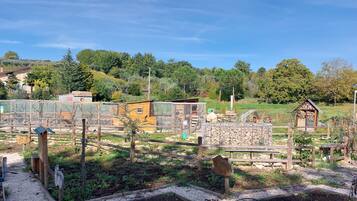 Un'azienda agricola rurale con diversi edifici, tra cui un pollaio, una stalla per i maiali e una piccola casa.