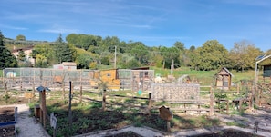 A rural farm with various structures, including a chicken coop, a pigsty, and a small house. - IL POGGIO DEGLI ANTICHI SAPORI (Paternopoli)