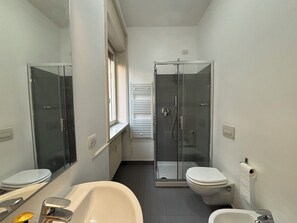 Shower, hair dryer, bidet, towels