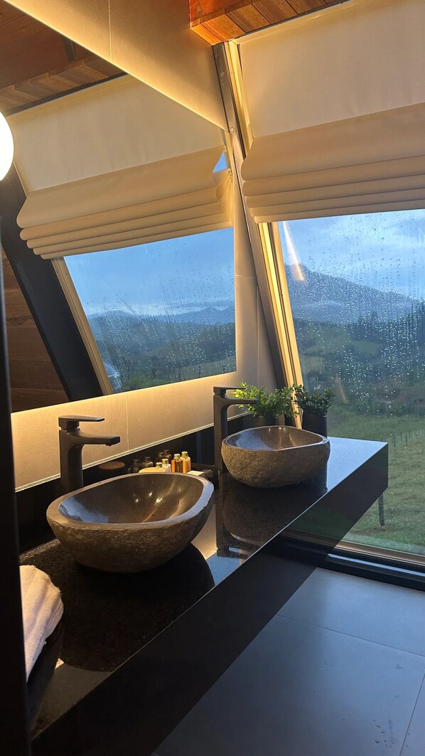 Une salle de bain moderne avec une grande fenêtre, un lavabo en pierre et une plante en pot.
