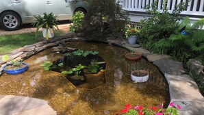 A small pond with a stone border, surrounded by various potted plants and flowers. - 3-bedroom bungalow very near downtown and walking distance to VT (Blacksburg)