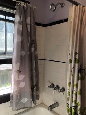 Hair dryer, bidet, towels, soap - 3-bedroom bungalow very near downtown and walking distance to VT (Blacksburg)