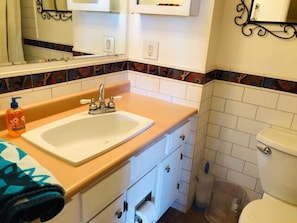 Hair dryer, towels, soap, toilet paper