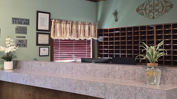 Une salle d’attente avec un ventilateur de plafond, un comptoir d’accueil, des certificats encadrés, un panneau indiquant « Animaux interdits » et une plante.
