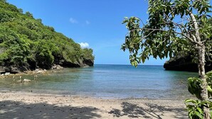 A beach with clear water, a sandy shore, and a tree on the right.