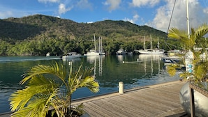 A marina with boats docked, a wooden pier, and a backdrop of a forested hill.
