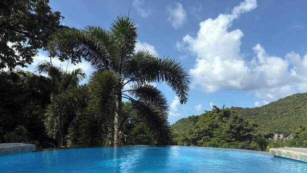 A clear blue pool surrounded by lush greenery and a mountain backdrop.