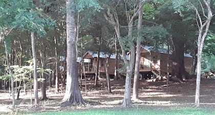 Cabin 2 Bowman's Landing on Santa Fe River