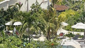 Un espace piscine agrémenté de chaises longues et de parasols, entouré d’une végétation luxuriante et de palmiers.