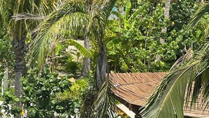 Un jardin luxuriant, avec des palmiers et un espace piscine.