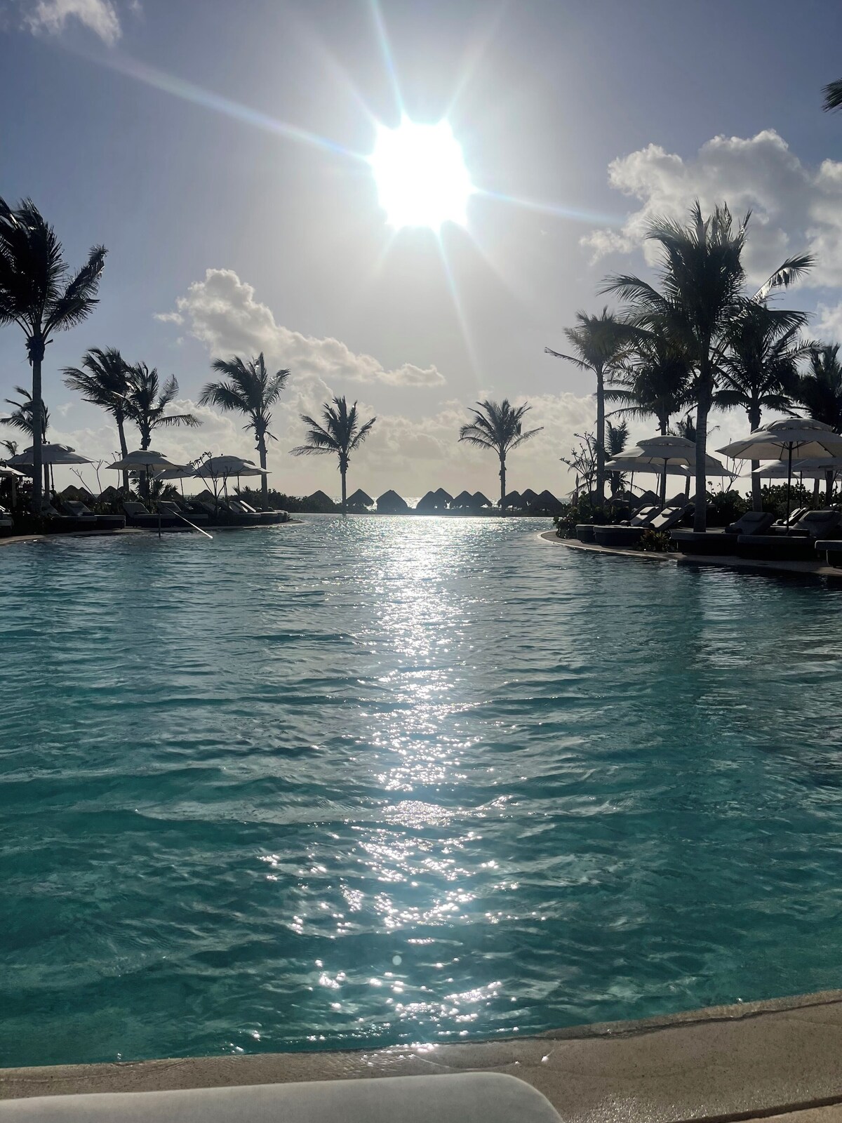 オーナーのプロフィール画像