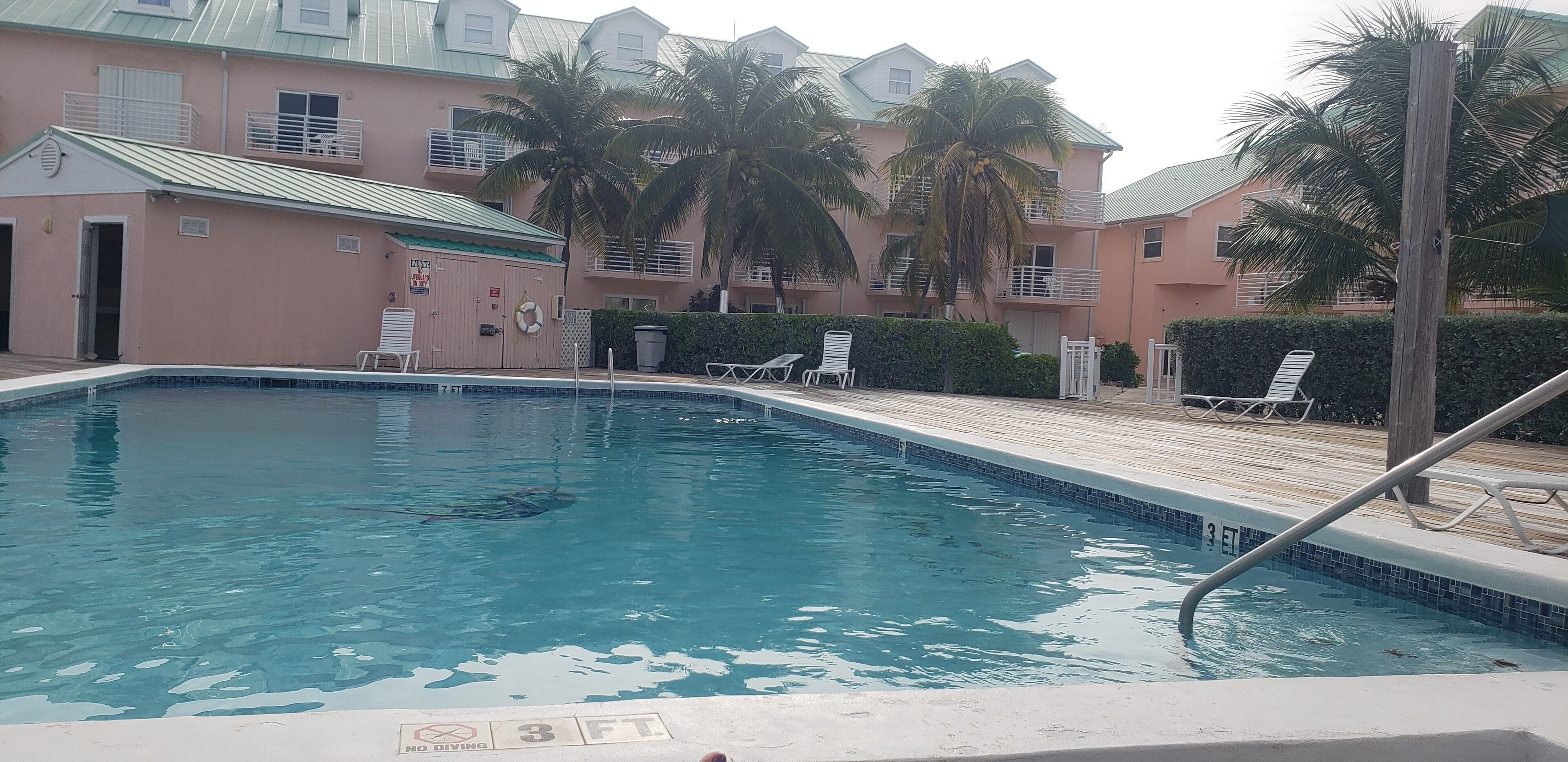 Piscina con un letrero que prohíbe los saltos, sillas de descanso y palmeras.
