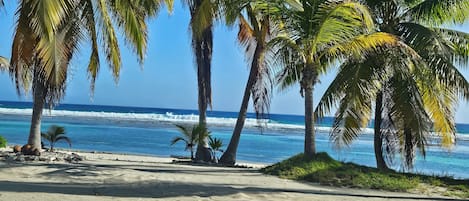 Serviettes de plage