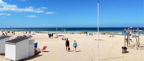 Beach nearby, fishing