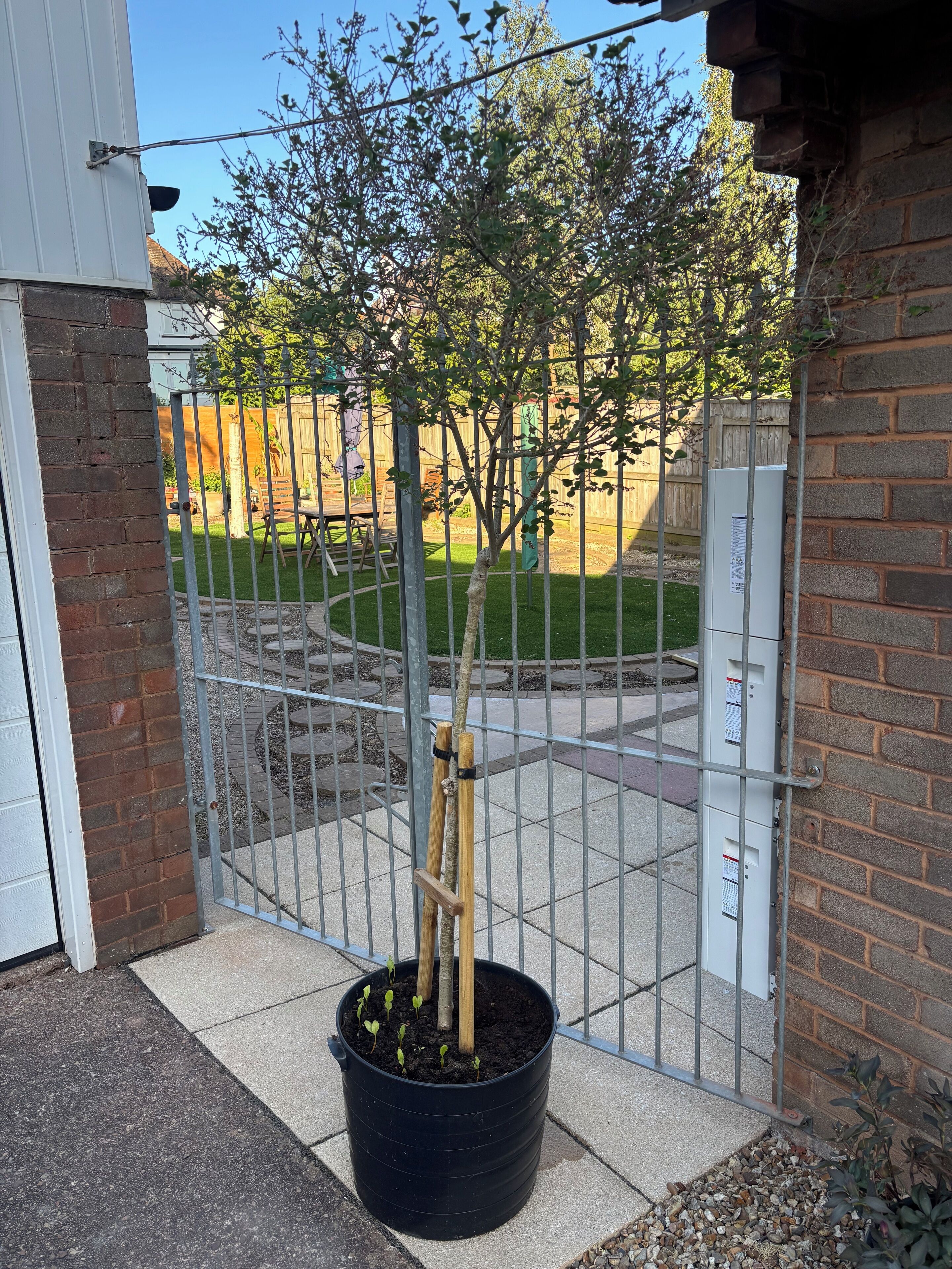 Enceinte de l’hébergement