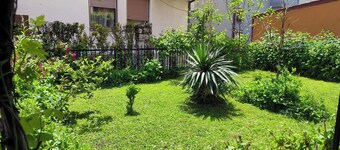 Elena Luka apartment