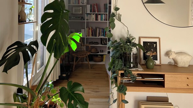 A cozy room with a bookshelf, a desk, and a large mirror.