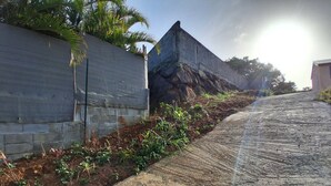 A paved pathway alongside a stone wall with vegetation growing between the wall and the path. - Golden Papaya  (Sainte-Rose)