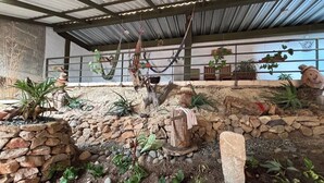 Un giardino interno rustico con pareti in pietra, piante pendenti e un'amaca.