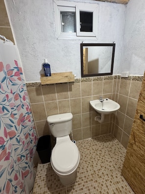 Shower, soap, toilet paper