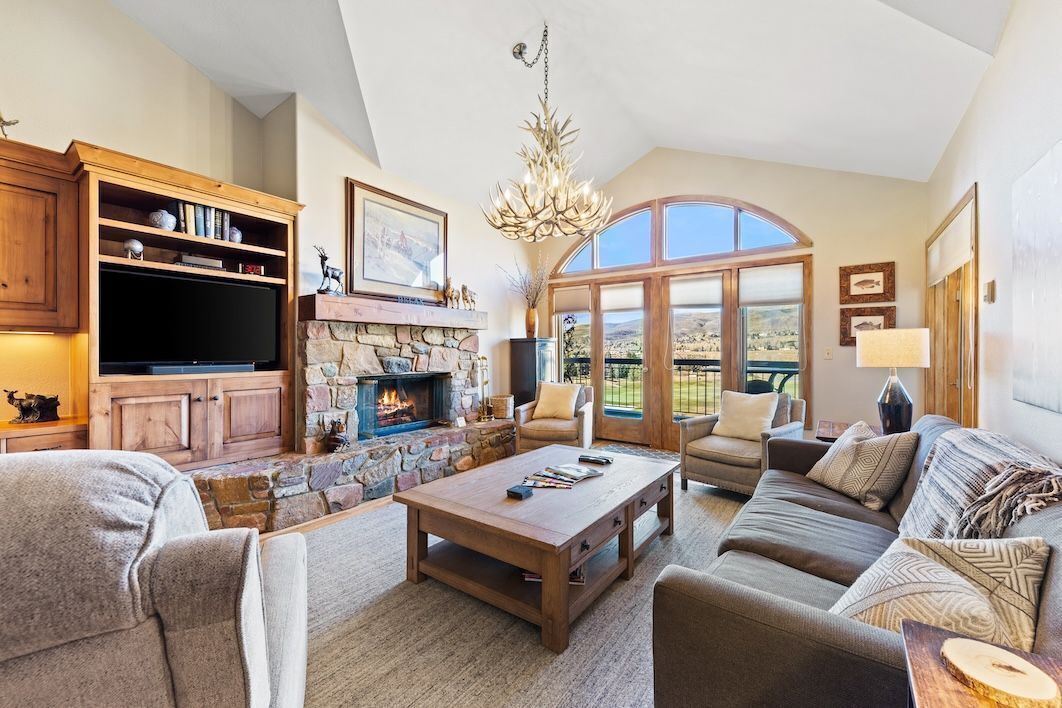 TV, fireplace, books