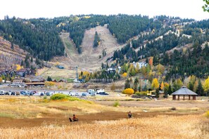 Studio (3 Bedrooms) | View from room