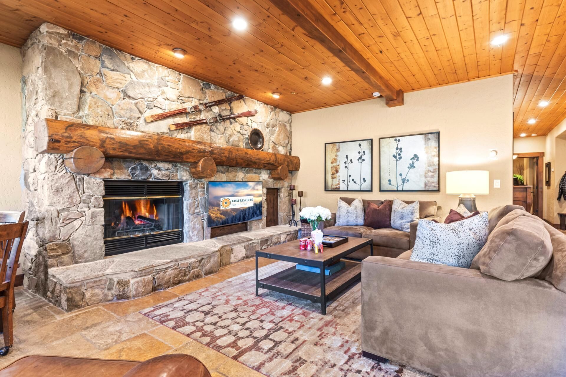 Studio (3 Bedrooms) | Living room | TV