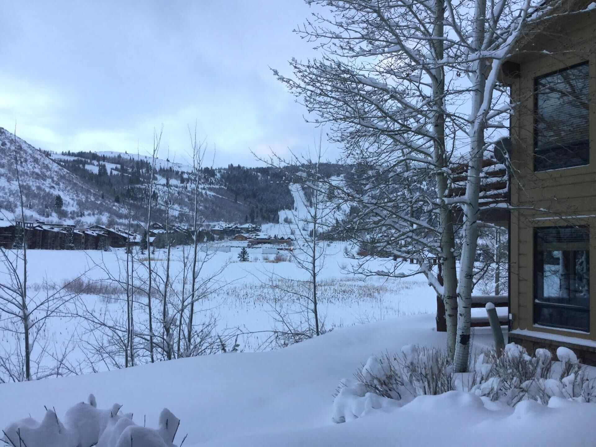 Studio (3 Bedrooms) | Vue de la chambre