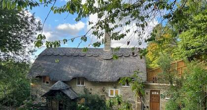 Picture Postcard Dorset Cottage Sleeps up to 6