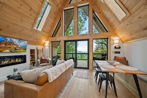 Smart TV, fireplace, books