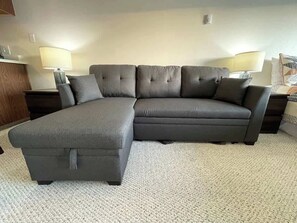 Télévision, cheminée, lecteur de DVD, table de tennis de table