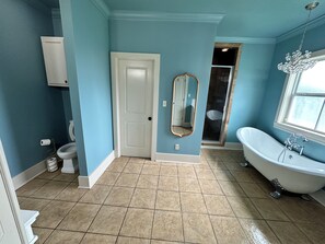 Hair dryer, towels, soap, toilet paper