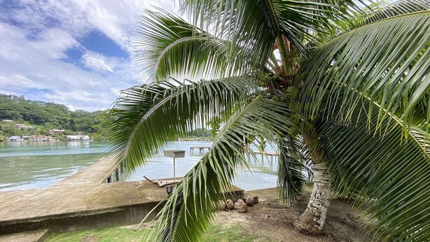 A palm tree by a concrete dock with a view of a lake and distant buildings. - Peaceful house by the sea (Îles Sous-le-Vent)