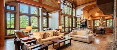 TV, fireplace, books, offices