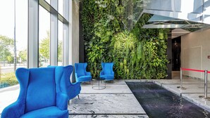 Eine moderne Lobby mit blauen Sesseln, einer Glaswand und einer vertikalen Grünanlage.