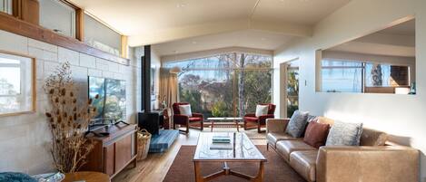 Smart TV, fireplace, books, stereo