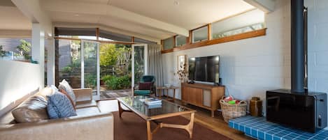 Smart TV, fireplace, books, stereo