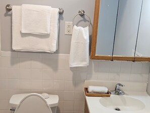 Hair dryer, towels, soap, toilet paper