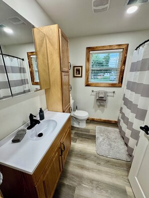 Secadora de cabello, toallas, jabón, shampoo 