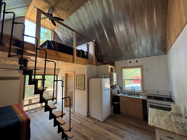 Microwave, oven, stovetop