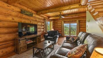 Smart TV, fireplace, books, offices