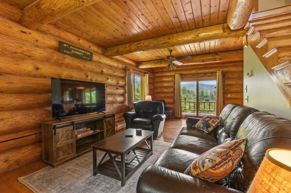 Smart TV, fireplace, books, offices