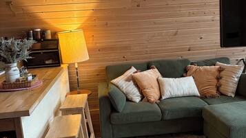 Smart TV, fireplace, books